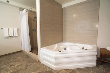 Signature Suite, Non Smoking (Roll-in Shower)