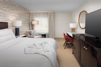 Traditional Room, 1 King Bed