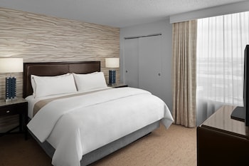 Executive Suite, 1 King Bed with Sofa bed