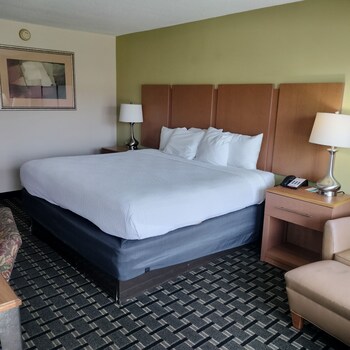 Room, 1 King Bed, Non Smoking