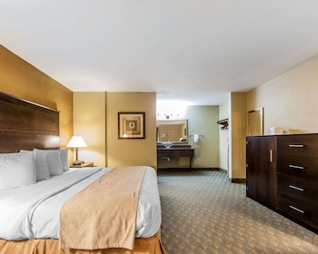 Room, 1 King Bed, Non Smoking