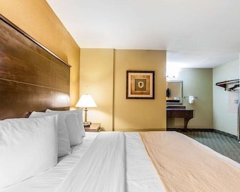 Room, 1 King Bed, Non Smoking