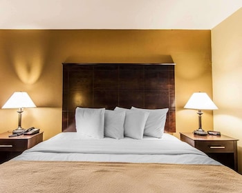 Room, 1 King Bed, Non Smoking