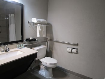 Standard Room, 1 King Bed, Accessible, Non Smoking