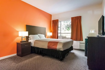 Standard Suite, 1 King Bed, Non Smoking, Kitchenette
