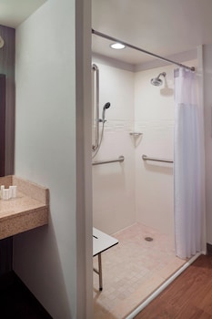 Room, 1 King Bed, Hearing Accessible