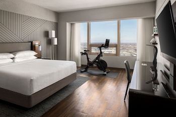 Room, 1 King Bed