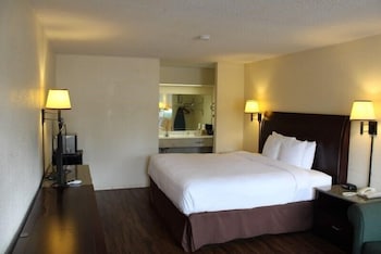 1 King Bed Non-Smoking