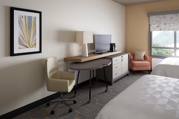Standard Room, 1 King Bed, Accessible (Communication)