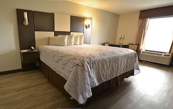 Standard Room, 1 King Bed, Accessible, Non Smoking