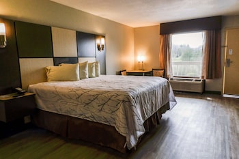 Standard Room, 1 King Bed, Accessible, Non Smoking