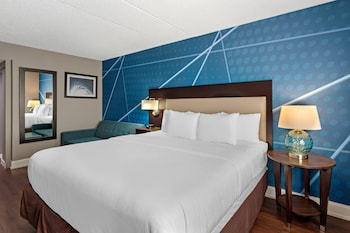 Room, 1 King Bed, Non Smoking
