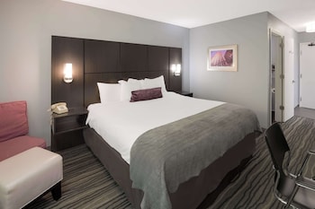 Standard Room, 1 King Bed, Non Smoking, Refrigerator