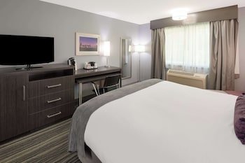 Standard Room, 1 King Bed, Non Smoking, Refrigerator
