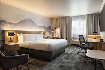 Executive Room, 1 King Bed, Non Smoking (Shower Only;Larger Room)