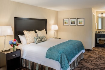 Room, 1 King Bed, Accessible, Non Smoking