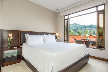 Junior Suite, Terrace