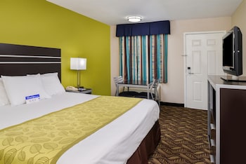 Room, 1 Queen Bed, Accessible, Smoking