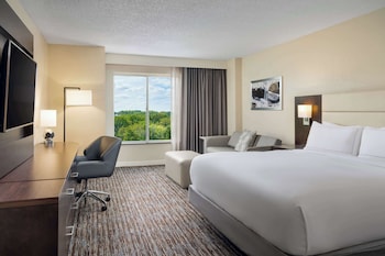 Room, 1 King Bed with Sofa bed, Non Smoking