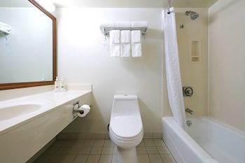 Studio Suite, 1 King Bed, Non Smoking
