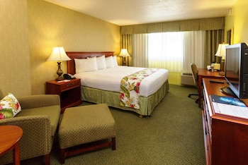 Room, 1 King Bed, Non Smoking