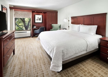 Room, 1 King Bed