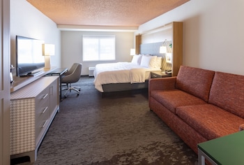 Standard Room, 1 King Bed with Sofa bed (Walk-In Shower)