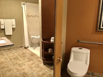 Deluxe Room, 1 King Bed, Accessible, Non Smoking (Mobility/Roll-In Shower)