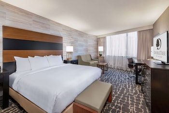 Room, 1 King Bed, Accessible (Mobility, Roll-In Shower)