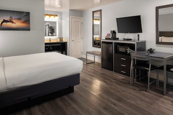 Room, 1 King Bed