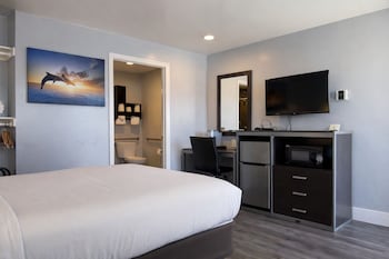 Room, 1 Queen Bed, Roll-in Shower