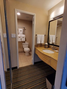 2 Queen Beds Terrace Accessible