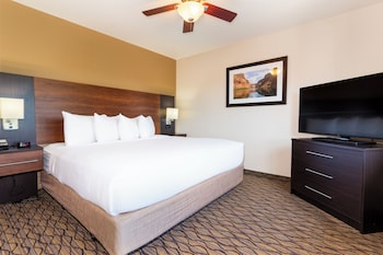 Suite, 1 Bedroom