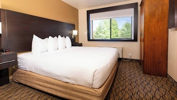 1 Bedroom King bed Suite