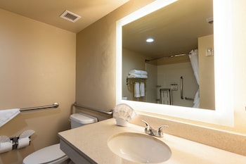 Standard Single Room, 1 King Bed, Bathtub Grab Bars