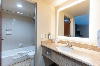 Suite, 1 Bedroom
