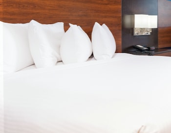 Standard Single Room, 1 Queen Bed