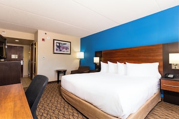 Standard Single Room, 1 King Bed, Bathtub Grab Bars