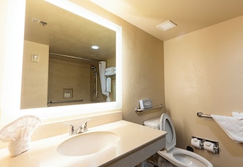 Standard Single Room, 1 King Bed, Roll-in Shower