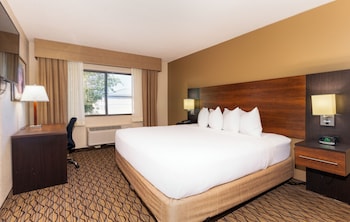 2 Bedroom Family Suite, 1 King and 1 Bunk (Twin over Double)