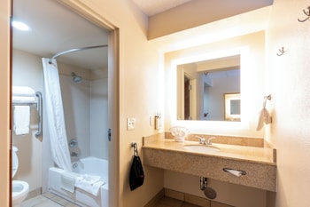 1 Bedroom King bed Suite