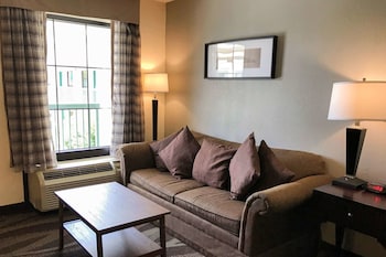 Room, 1 King Bed with Sofa bed, Non Smoking