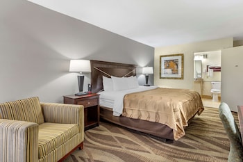 Standard Room, 1 King Bed, Non Smoking