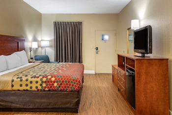 Room, 1 King Bed, Accessible, Smoking (Roll-In Shower)