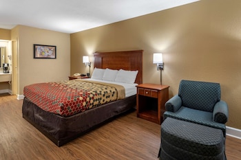 Room, 1 King Bed, Accessible, Non Smoking (Bathtub)