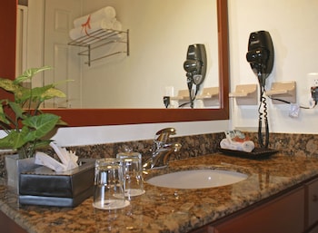 Standard Studio Suite