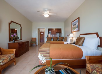 Standard Studio Suite