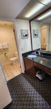 Standard Suite, 1 Double Bed with Sofa bed, Non Smoking (Mobility Accessible)