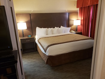 Standard Suite, 1 King Bed with Sofa bed, Non Smoking (One-Bedroom, Master)