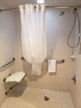 Standard Suite, 1 Double Bed with Sofa bed, Non Smoking (Mobility Accessible)